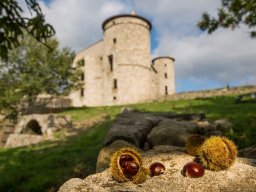 w-chateau de Craux-PD1A9329©Steph Tripot